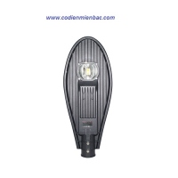 Đèn led chiếu sáng đường - D CSD02L/60W - Rạng Đông