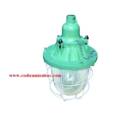 ĐÈN CHỐNG CHÁY NỔ ELW4001/100W ROMAN